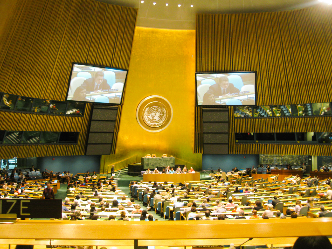 MDG 2010 summit informal hearings